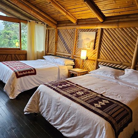 Golden Tree Mindo Eco-Lodge Ngoại thất bức ảnh