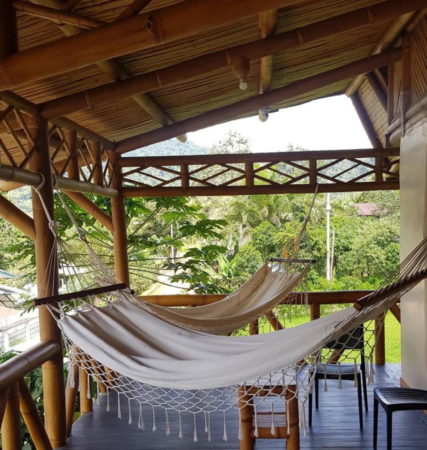 Golden Tree Mindo Eco-Lodge Ngoại thất bức ảnh
