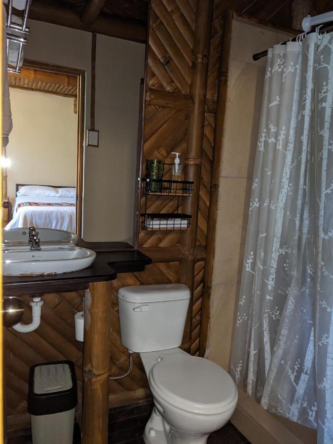 Golden Tree Mindo Eco-Lodge Ngoại thất bức ảnh