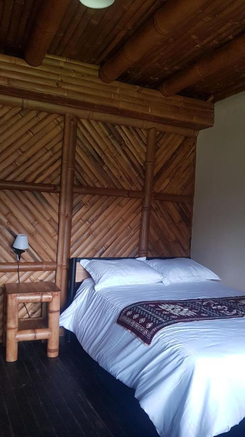 Golden Tree Mindo Eco-Lodge Ngoại thất bức ảnh