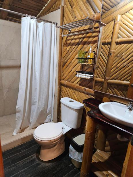 Golden Tree Mindo Eco-Lodge Ngoại thất bức ảnh