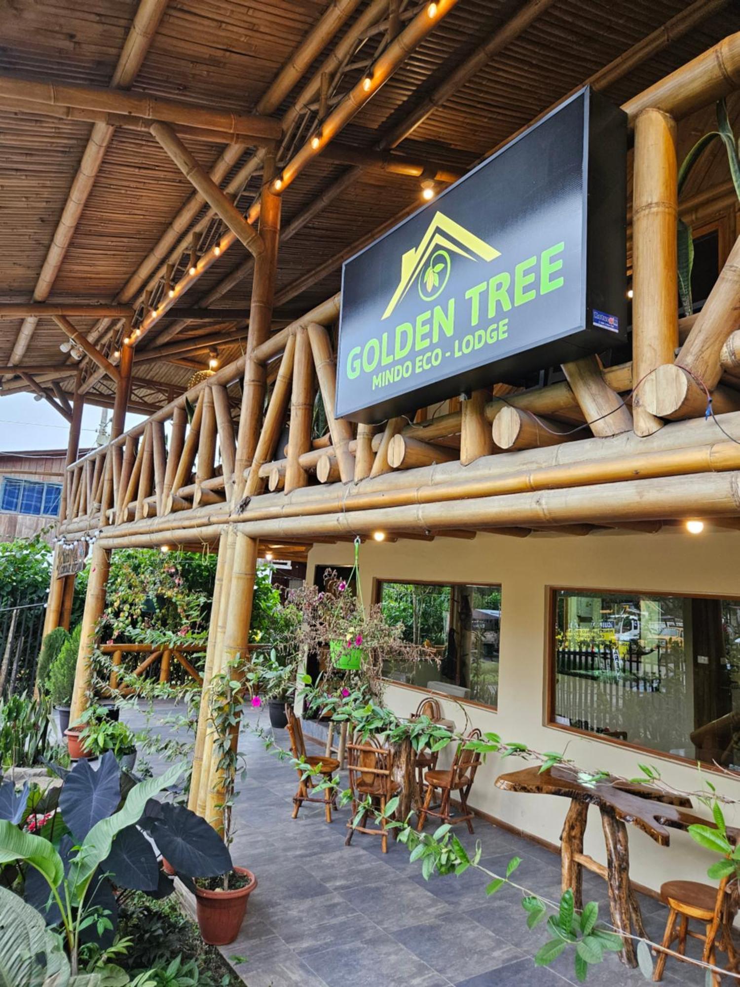 Golden Tree Mindo Eco-Lodge Ngoại thất bức ảnh
