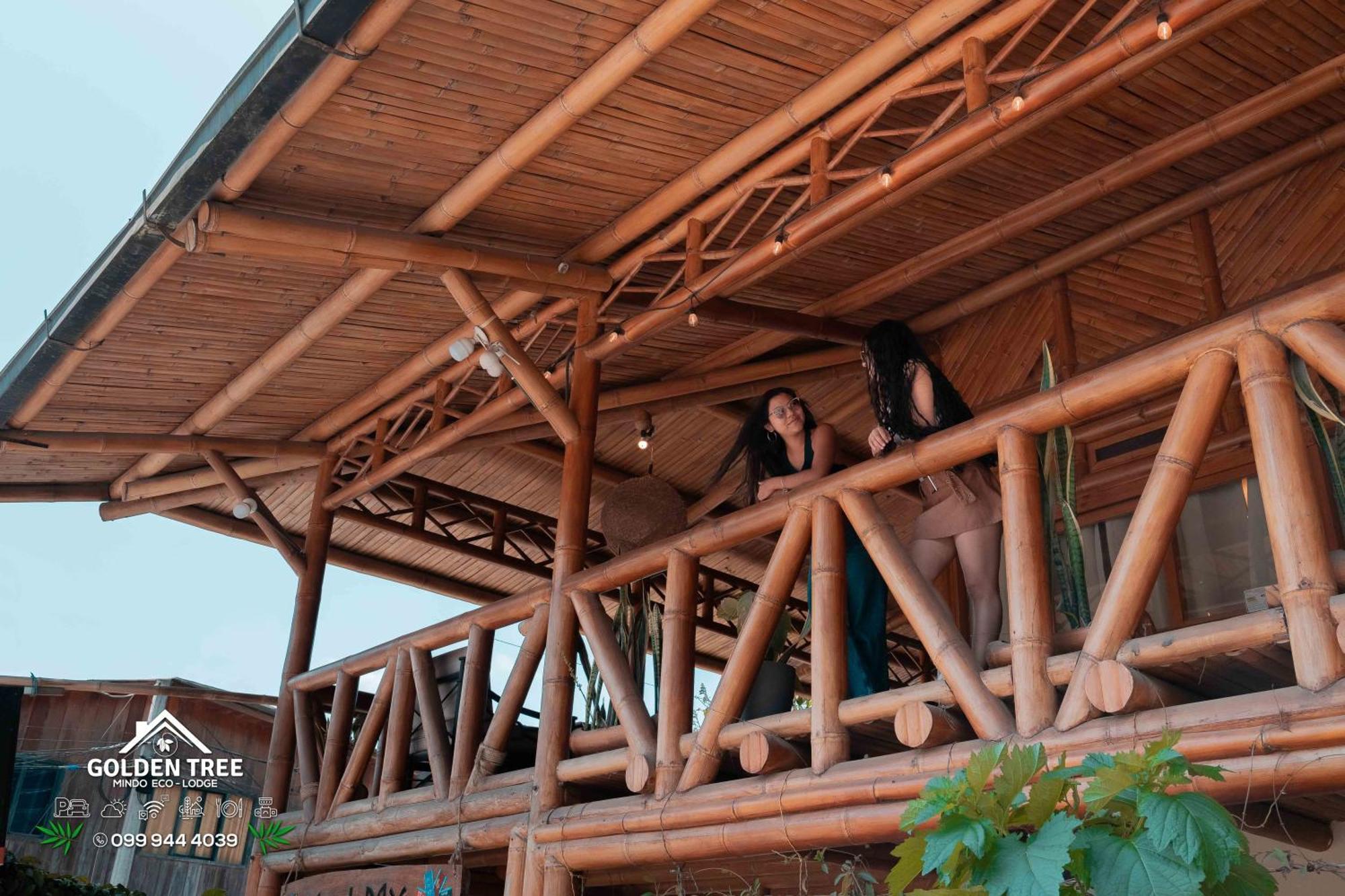 Golden Tree Mindo Eco-Lodge Ngoại thất bức ảnh